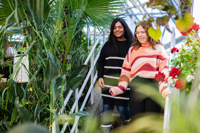 Students in a greenhouse