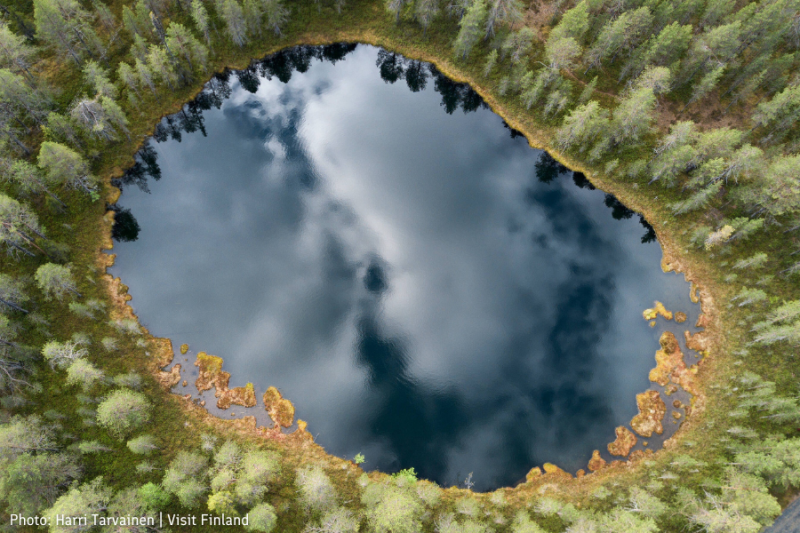 Aerial picture of a lake among forest trees